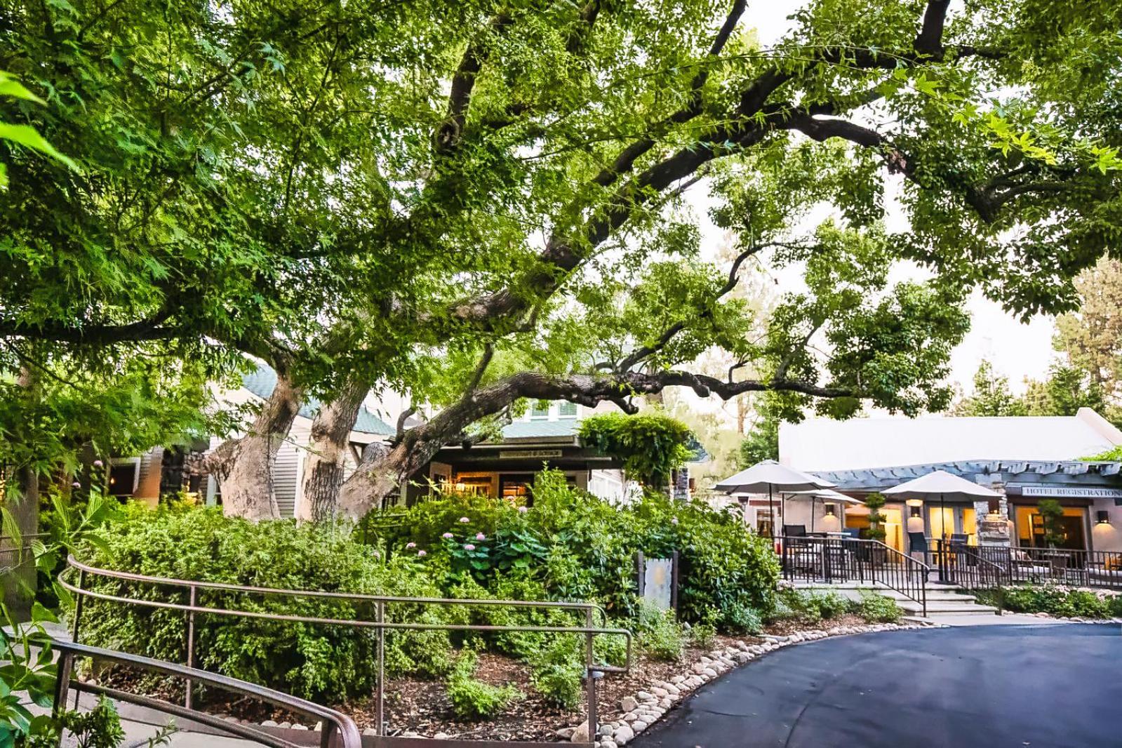 Wine&Roses Hotel Restaurant Spa Lodi Exterior foto
